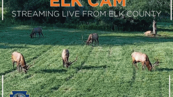 E-news Updates – August 26, 2025