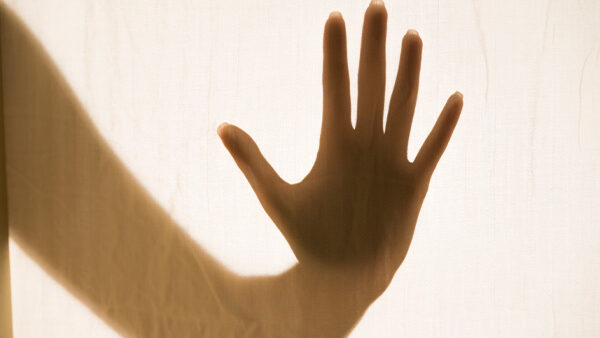 E-news Updates – January 9, 2026